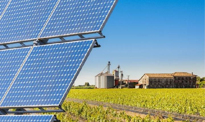 Baterias Moura: gestão energética impulsiona o agro