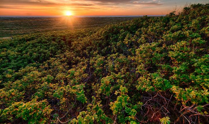 Ecora abre consulta pública na área de créditos de carbono