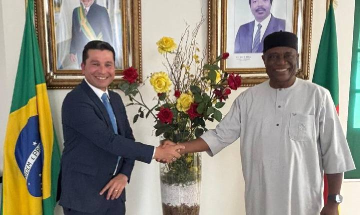 Produto brasileiro ganha apoio internacional contra malária