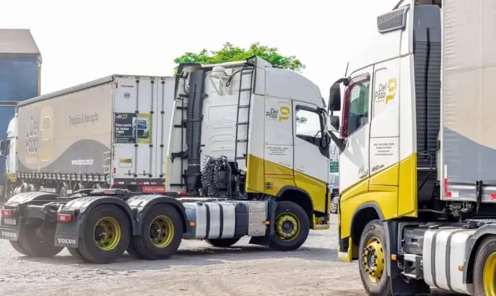 Empresa de transporte contrata motoristas CNH E; veja como enviar currículo